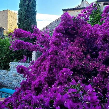 Arca Casa de hóspedes 3*