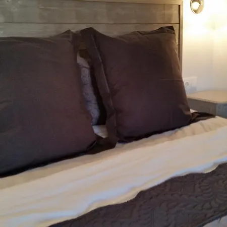 Casa de hóspedes Arca 3*