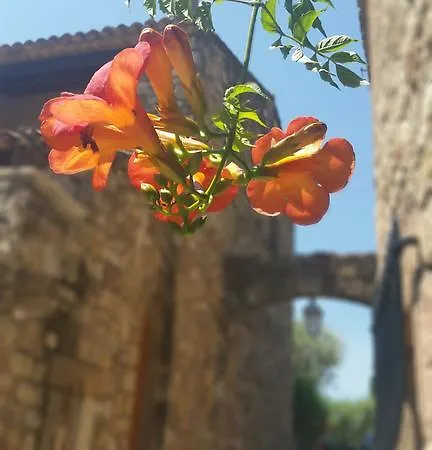 Arca Les Arcs-sur-Argens
