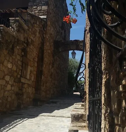 Casa de hóspedes Arca 3*