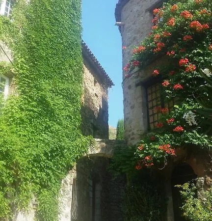 Casa de hóspedes Arca
